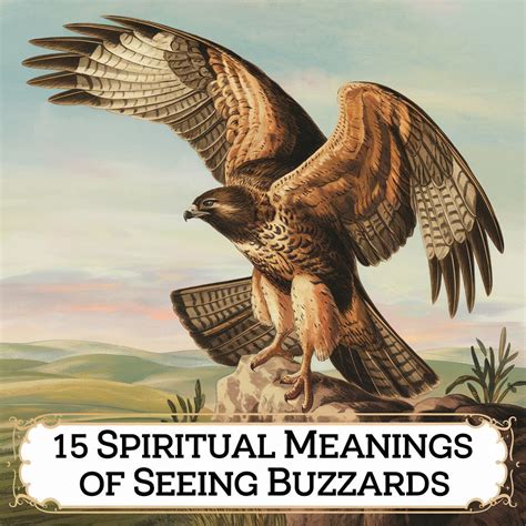15 Spiritual Meanings of Seeing Buzzards: Hidden Truths Revealed