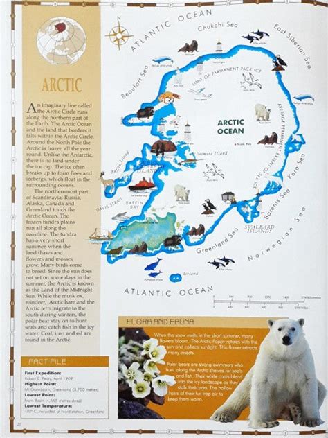 My First Picture Atlas A Fully Illustrated Picture Atlas for Children ...