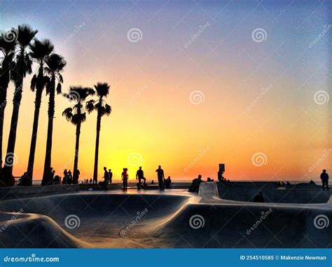 Sunset at Venice Beach Skate Park Editorial Image - Image of skate ...