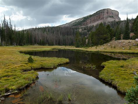 Uinta national park