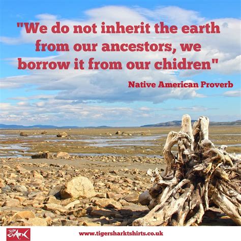 Wonders of Nature: Unveiling the Native American Perspective