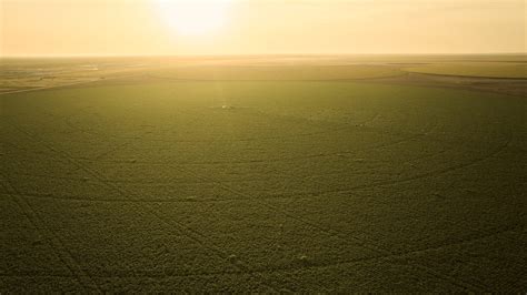 Five things farmers need to know about the Emergency Commodity ...