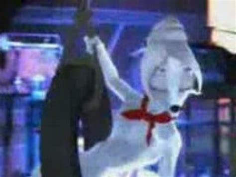 Roadside Romeo Laila And Romeo