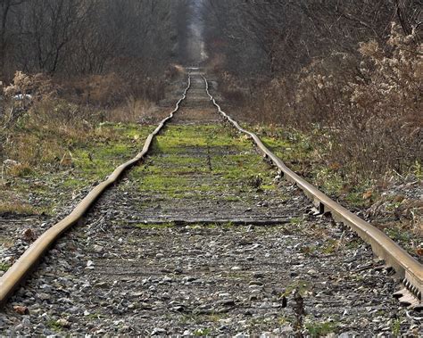 Abandoned Railroad Tracks | Train tracks photography, Train tracks ...