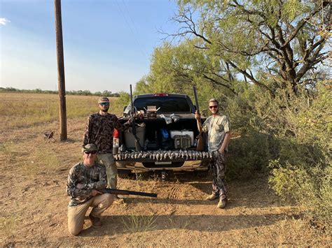 The 15 Best Dove Hunting Guides in Texas