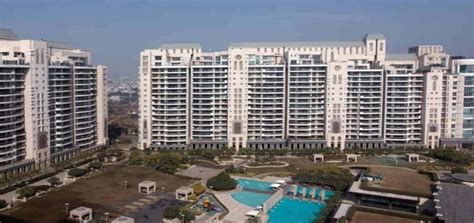 » DLF The Camellias