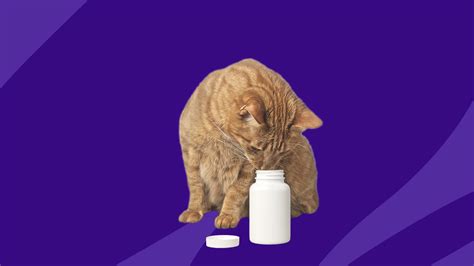 MiraLAX for cats: Uses, dosage, and side effects