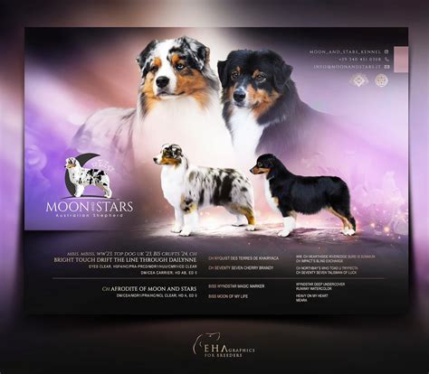 EHA GRAPHICS - DESIGN FOR BREEDERS AND STUD OWNERS