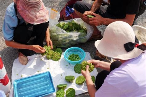 莲蓬大量“出水”上市 武汉人实现“莲蓬自由”-武汉市农业农村局