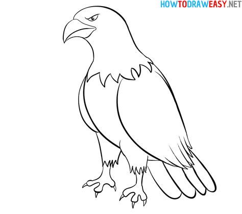 How to Draw an Eagle Easy - How to Draw Easy