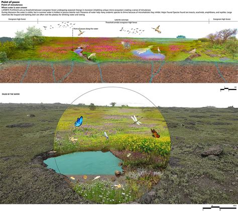 Investigating the sadas | CEPT - Portfolio