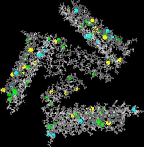 Partha Bhowmick: Protein Cavity Analysis
