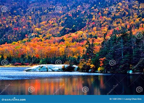 New England fall foliage stock photo. Image of hampshire - 1081294