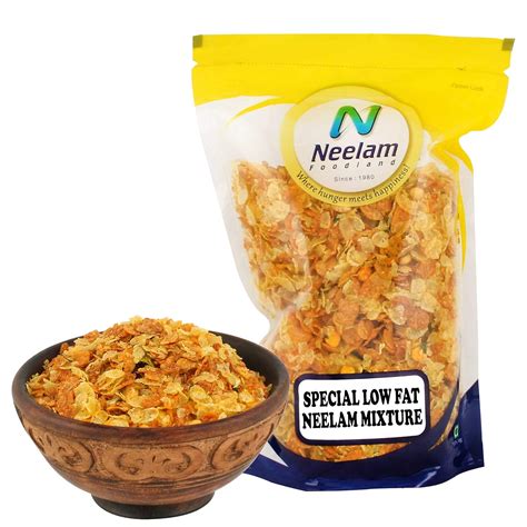 Neelam Foodland Special Low Fat Neelam Mixture 400g : Amazon.in ...