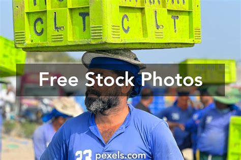 Free Trade Area Examples 的图像结果