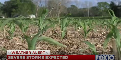 Baldwin County community preparing for another round of severe weather