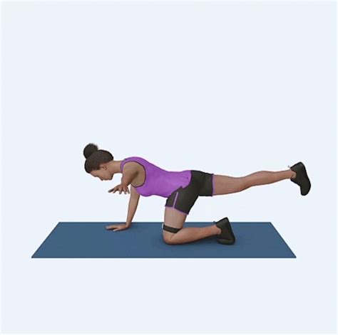 Exercise Animation 的图像结果