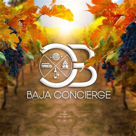 BAJA CONCIERGE - All You MUST Know Before You Go (2024)