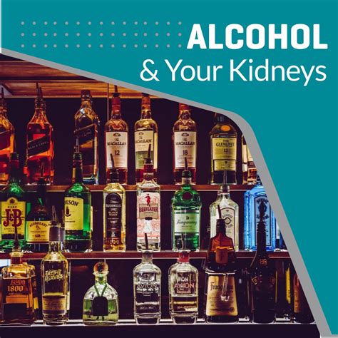 Alcohol's Impact on the Kidneys - Health Systems Management, Inc.