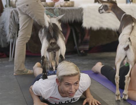 What Is Goat Yoga Like? | POPSUGAR Fitness