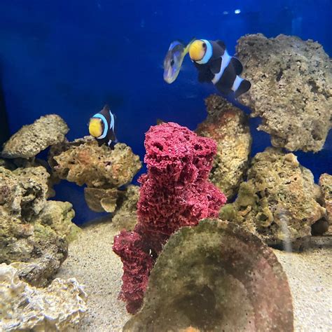AQUARIUM OF FALIRAKI (AQUAWORLD) (2026) All You Need to Know BEFORE You ...