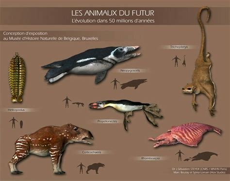 Future Animals Evolution 的图像结果