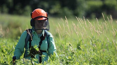 Friends of Waubesa Wetlands Volunteer Workday, 2600 Lalor Rd, Oregon ...
