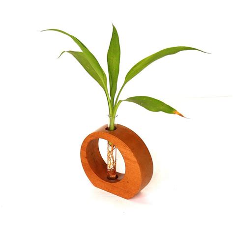 Round Shape Wooden Test Tube Planter – Orbiz Creativez