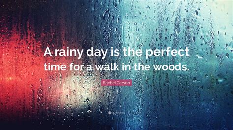Rachel Carson Quote: “A rainy day is the perfect time for a walk in the ...
