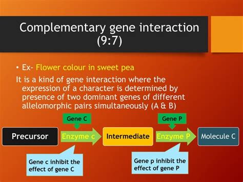 Image result for Complex Inheritance Pattern For