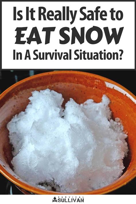Is It Really Safe to Eat Snow In A Survival Situation?