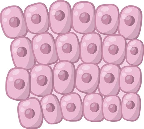 Cell of human organism. Cartoon flat illustration 10313480 Vector Art ...