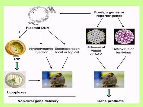Biotech Processes 的图像结果