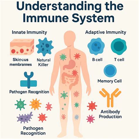 The Immune System: Components, Functions, and Advances in Immunology