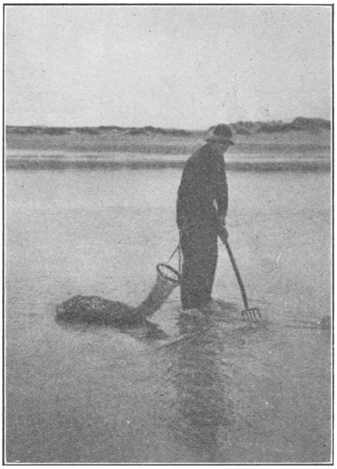 Native American Clam Digging Traditions & Tools