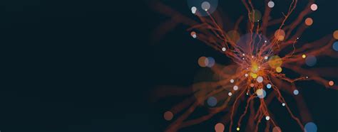 Why Shared Services Leaders Have Unparalleled Business Insights | India ...