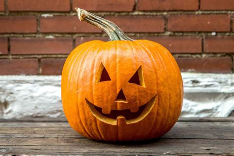 [600+] Pumpkin Pictures | Wallpapers.com