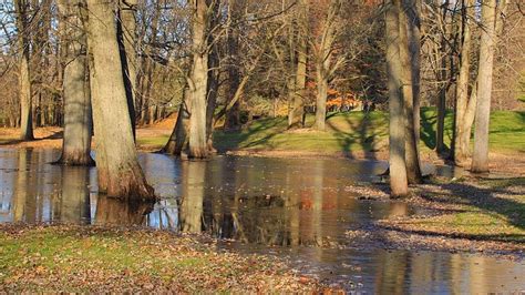 BURCHFIELD PARK - All You Need to Know BEFORE You Go 2026 (with Photos ...