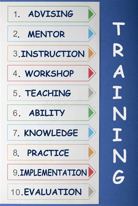 Training Process Examples 的图像结果