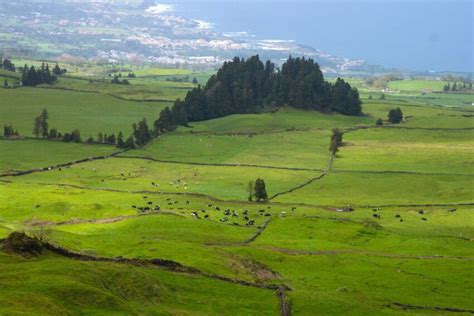 Nature Farm 的图像结果
