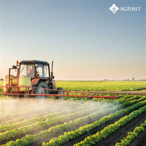 AgFirst Farm Credit Bank on LinkedIn: #laborday #agfirst #farmcredit # ...