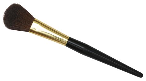 beauty makeup brushes