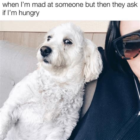27 Heckin' Good Doggo Memes To Lift Your Spirits | Dog memes, Happy ...