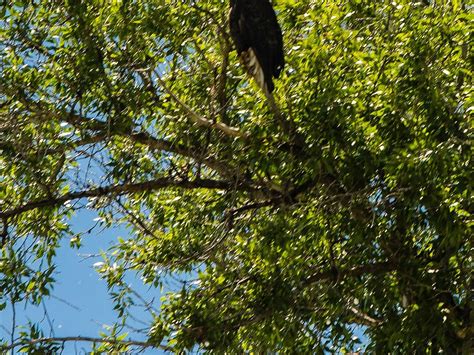 SNAKE RIVER PARK SCENIC FLOAT TRIPS (2026) All You Need to Know BEFORE ...