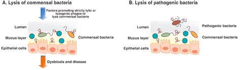 Human Virome and Disease: High-Throughput Sequencing for Virus ...