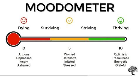 Tips for Managing Mood Swings | Family Psychiatry of North Jersey