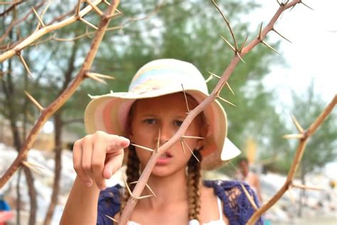Do Plants Feel Pain? Find the Science Behind Plant Perception – Tennessee Wholesale Nursery