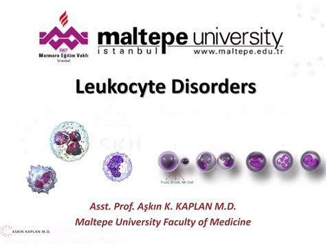 Leukocyte disorders akk | PDF