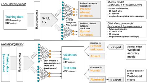 Development Local Scale Animation 的图像结果