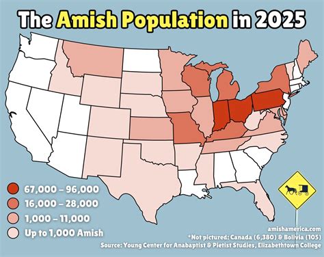 What Language Do Amish Speak? (3 Languages) - Amish America